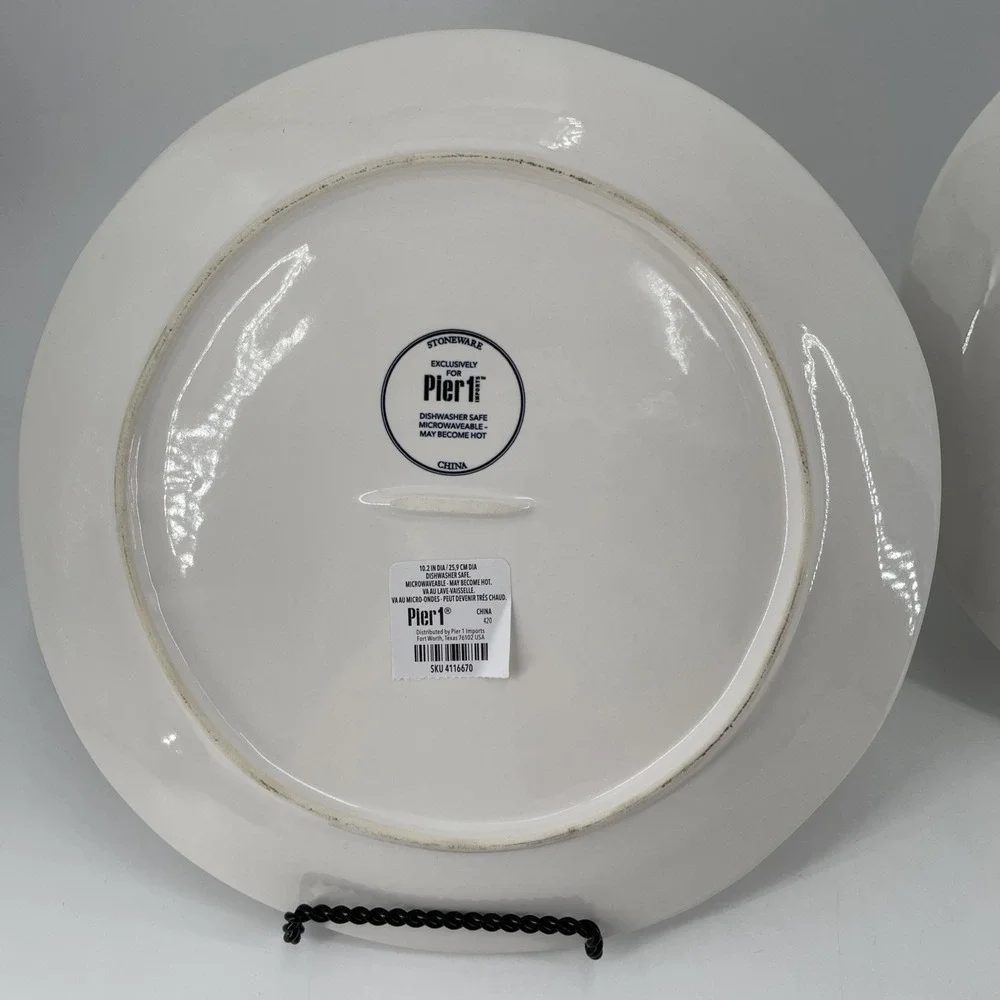 NWT Pier 1 Buffalo Harvest Pumpkin Dinner Plates Set Of 2 Black & White 10.5